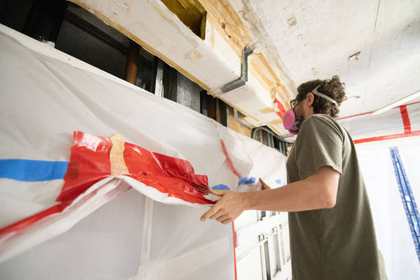 Reliable Sloan, NY Mold Removal Solutions